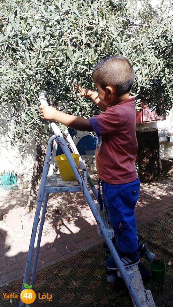 alkeram zatoon3 (6).jpg